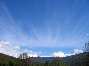 Thang Lay Su Tu Do