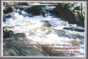 Tranh Laminate 026
