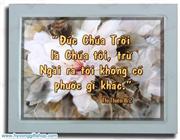 Cau Goc Dan Go 02