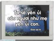Cau Goc Dan Go 04